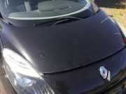 Motorhaube Renault Grand Scénic III (JZ) Großraumlimousine 1.4 16V TCe 130 (H4J-700(H4J-A7)) 2010-07