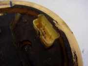 Tankschwimmer 9645161680 Citroën C2 (JM) Schrägheck 3-drs 1.4 HDI (DV4TD(8HX)) 2004