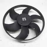 Kühlerventilatormotor 5000243 Renault Grand Scénic II (JM) Großraumlimousine 2.0 16V (F4R-771(Euro 4)) 2006