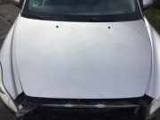 Motorhaube 31371415 Volvo C30 (EK/MK) Schrägheck 3-drs 1.6 16V (B4164S3) 2010-01