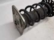 Stoßdämpfer Links Vorne Peugeot Expert (V1/VA/VB/VE/VF/VT/VY) Van 2.0 Blue HDi 120 16V (DW10FE(AHK)) 2018