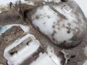 Kraftstoffpumpe Elektrisch A2C53257951 Fiat 500C (312) Cabrio 1.2 69 (169.A.4000(Euro 5)) 2010-05