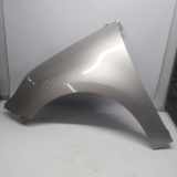 Kotfl?gel Links Vorne 631017581R Renault Sc?nic III (JZ) Gro?raumlimousine 2.0 dCi 16V Autom. (M9R-C615) 2010-04