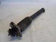 Stoßdämpfer Links Hinten BMW X5 (E53) SUV 3.0d 24V (M57-D30(306D1)) 2003