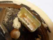 Kraftstoffpumpe Elektrisch 1490373080 Peugeot 307 SW (3H) Kombi 2.0 HDi 90 (DW10TD(RHY)) 2004-06