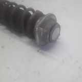 Stoßdämpfer Links Vorne Daihatsu Sirion 2 (M3) Schrägheck 1.0 12V DVVT (1KR-FE) 2006-08