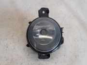 Nebelscheinwerfer Rechts Vorne 89203662 BMW 1 serie (E81) Schrägheck 3-drs 120i 16V (N43-B20A) 2007-08