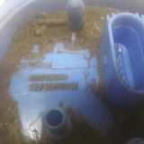 Kraftstoffpumpe Elektrisch 1K0919051AE Volkswagen Golf V (1K1) Schrägheck 1.4 FSI 16V (BLN) 2005-05 BLN