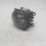 Nebelscheinwerfer Links Vorne 8200074008 Dacia Logan MCV I (KS) Kombi 1.5 dCi (K9K-792) 2009