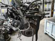 Motor 1713369 Ford Fiesta 6 (JA8) Schrägheck 1.25 16V (SNJD) 2011