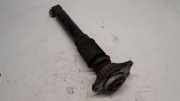 Stoßdämpfer Links Hinten 33526797771 BMW 5 serie Touring (F11) Kombi 520d 16V (N47-D20C) 2012-06