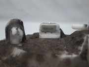 Kraftstoffpumpe Elektrisch 8200683188 Renault Megane II CC (EM) Cabrio 2.0 16V (F4R-770) 2005-08