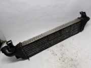 Ladeluftkühler 4N5H9L440VF Volvo V50 (MW) Kombi 2.0 D 16V (D4204T(Euro 3)) 2004