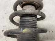 Stoßdämpfer Links Hinten Hyundai Tucson (JM) SUV 2.0 16V CVVT 4x2 (G4GC) 2007-05