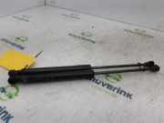 Gasdruckfeder Set Vorne 654706489R Renault Kangoo Express (FW) Van 1.5 dCi 75 (K9K-628(K9K-E6)) 2017-11