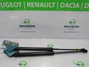Gasdruckfedern Set Hinten 904502915R Renault Zoé (AG) Schrägheck 5-drs R110 (5AQ-607) 2019-11