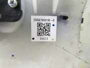 Kombischalter 255670001R Renault Laguna III Estate (KT) Kombi 2.0 Turbo 16_V (F4R-811) 2010-07