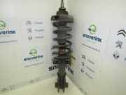 Federbein Links Vorne 5430200QAB Renault Trafic New (FL) Van 2.5 dCi 16V 145 (G9U-630) 2008-10