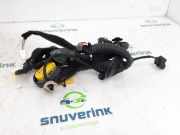 Kabelbaum 241247032R Renault Megane IV Estate (RFBK) Kombi 5-drs 1.2 Energy TCE 100 (H5F-408(H5F-F4)) 2017-05