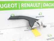 Handbremshebel ABS 360103432R Renault Captur (2R) SUV 1.3 TCE 150 16V (H5H-470(H5H-B4)) 2019-04