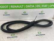 Türgummis Links 9806514880 Peugeot Expert (V1/VA/VB/VE/VF/VT/VY) Van 2.0 Blue HDi 120 16V (DW10FE(AHK)) 2017-01