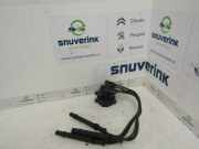 Zündspule 8200702693 Renault Twingo II (CN) Schrägheck 1.2 16V (D4F-772) 2010-06
