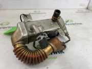 Agr Kühler 147350678R Opel Vivaro Van 1.6 CDTI 95 Euro 6 (R9M-413(R9M-H4)) 2016-10