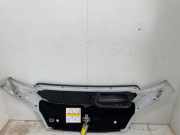 Motorhaube 1380670080 Fiat Ducato (250) Van 2.3 D 130 Multijet (F1AE3481D) 2014-07