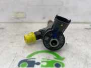 Einspritzventil 166004686R Renault Trafic (1FL/2FL/3FL/4FL) Van 1.6 dCi 90 (R9M-A402) 2016-06