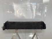 Ladeluftkühler 144960015R Renault Master III (MA/MB/MC/MD/MH/MF/MG/MH) Van 2.3 dCi 16V (M9T-B8) 2013-02