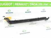 Schiebetür Schiene Links 8200497755 Renault Kangoo/Grand Kangoo (KW) Großraumlimousine 1.6 16V (K4M-G8) 2008-03