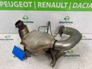 Katalysator 9804925980 Peugeot Expert (V1/VA/VB/VE/VF/VT/VY) Van 2.0 Blue HDi 120 16V (DW10FE(AHK)) 2017-01