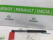 Gasdruckfedern Set Hinten B000877780 Citroën C1 Schrägheck 1.0 12V VVT-i (1KR-FE(CFB)) 2019-03