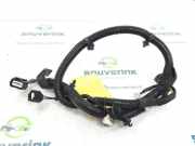 Kabelbaum 256A82112R Renault Zoé (AG) Schrägheck 5-drs R110 (5AQ-607) 2019-12