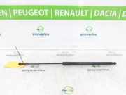 Gasdruckfeder Set Vorne 654712943R Dacia Duster (HS) SUV 1.2 TCE 16V (H5F-B404) 2015-04