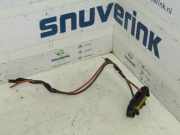 Kabel Renault Clio III Estate/Grandtour (KR) Kombi 1.2 16V TCE 100 (D4F-784) 2008-12