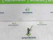 Kraftstoff-Injector 166008494R Renault Captur II (RJB) SUV 1.0 TCe 12V (H4D-450(H4D-B4)) 2020-08