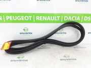 Türgummis Links Vorne 9811537480 DS DS 7 Crossback SUV 1.6 16V E-Tense 225 (EP6FADTXHPD(DGZ)) 2023-01 EP6FADTXHPD(DGZ)