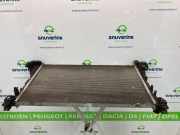 Radiator 214104966R Opel Vivaro Van 1.6 CDTi BiTurbo 125 (R9M-452(R9M-D4)) 2019-03