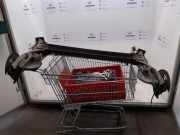 Hinterachse Vwa ABS 8200684666 Renault Kangoo Express (FW) Van 1.5 dCi 110 (K9K-647) 2014-11
