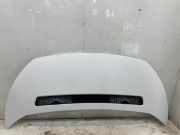 Motorhaube 7901N1 Citroën Jumpy (G9) Van 1.6 HDI 16V (DV6UTED4(9HU)) 2010-04