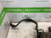 Adblue Behälter 9817601880 Citroën Berlingo Van 1.5 BlueHDi 75 (DV5RE(YHW)) 2021-11