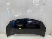 Motorhaube 7751477649 Renault Twingo II (CN) Schrägheck 3-drs 1.2 (D7F-800) 2008-12