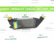 Ladeluftkühler 0384P1 Peugeot Expert (G9) Van 2.0 HDiF 16V GT (DW10CTED4(RHH)) 2010-03