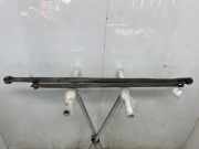 Stabilisatorstange Hinten 93868591 Opel Vivaro Van 1.6 CDTi BiTurbo 145 (R9M-452(R9M-D4)) 2017-03