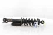 Federbein Links Hinten 9841774780 Peugeot 508 SW (F4/FC/FJ/FR) Kombi 1.6 16V PSE Hybrid4 360 (EP6FADTXHPA(5GB)) 2023-07