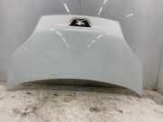 Motorhaube 7901Q0 Peugeot Bipper (AA) Van 1.3 HDI (F13DTE5(FHZ)) 2013-02