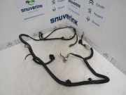 Kabelbaum 9675824080 Peugeot 206+ (2L/M) Schrägheck 1.4 XS (TU3A(KFT)) 2012-06