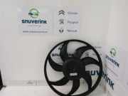 Kühlerventilatormotor 1616307580 Peugeot Bipper (AA) Van 1.4 HDi (DV4TD(8HS)) 2009-06