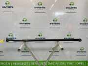 Stabilisatorstange Hinten 551304056R Renault Trafic (1FL/2FL/3FL/4FL) Van 1.6 dCi 125 Twin Turbo (R9M-452(R9M-D4)) 2019-06